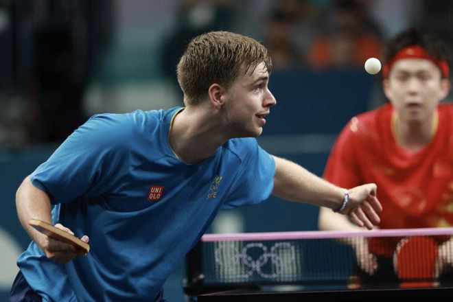 菲尔米诺的 菲尔米诺的