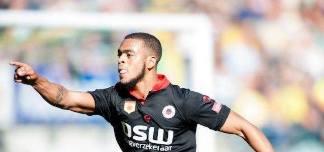 综合优势 综合优势